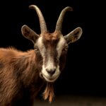peter-neumann-mUtYXnpW1ts-unsplash